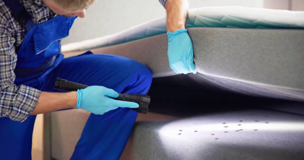 Best Termite Control Services  in Sigourney, IA