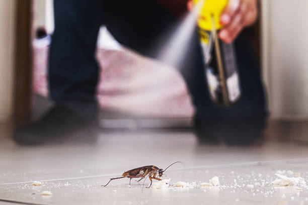 Best Wasp Removal Services  in Sigourney, IA