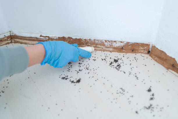 Best Exterminator Services  in Sigourney, IA